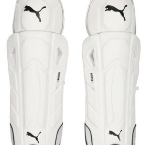 CRICKET Safe Guards